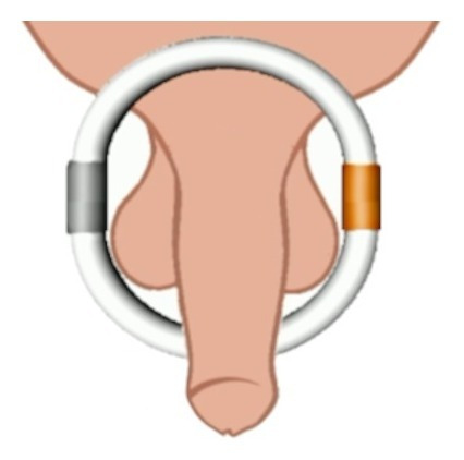 Anillo De Dios | Aumentar Testosterona Naturalmente