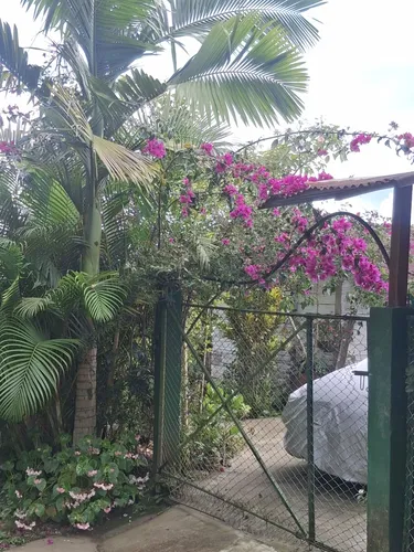 Pequeña Finca Bien Ubicada