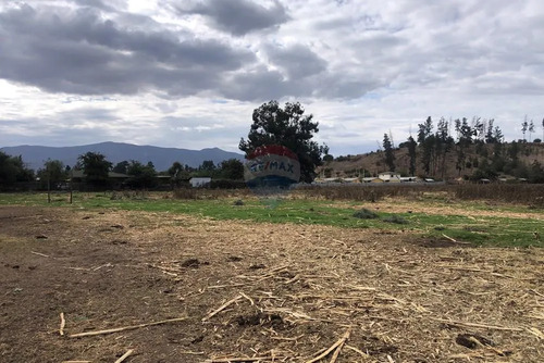 Terreno Al Lado De Plaza De María Pinto.