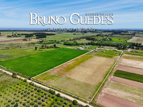 Se Alquila Chacra Con Salón De Eventos Y Canchas De Futbol Rincón Del Cerro Montevideo Rural