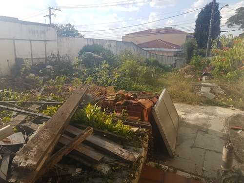 Imagem 15 de 30 de Terreno-são Paulo-jardim Prudência | Ref.: Reo16669 - Reo16669