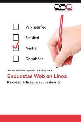Libro Encuestas Web En Linea - Fernandez Raul
