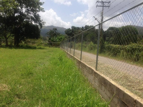 Imagen 4 de 6 de Se Vende Parcela En Montalban Aguirre Sd--748
