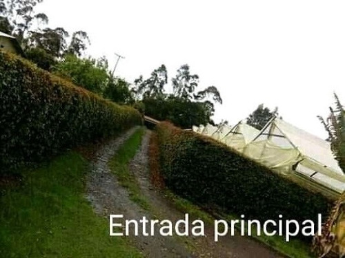 Imagen 20 de 24 de Casas En Venta Puerto Boyaca 476-2419