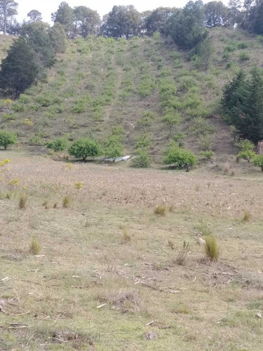 Imagen 6 de 8 de Terreno 32,000m² En San Joaquín Querétaro Con Escrituras