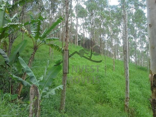 Imagem 5 de 8 de Cód 1828 - Área De 78.000 M² Com Nascente - 1828