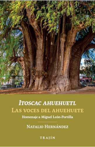 Las Voces Del Ahuehuete / Itoscac Ahuehuetlitoscac Ahuehuetl /, De Hernández, Natalio. Editorial Trajín, Tapa Blanda En Español/náhuatl, 2021
