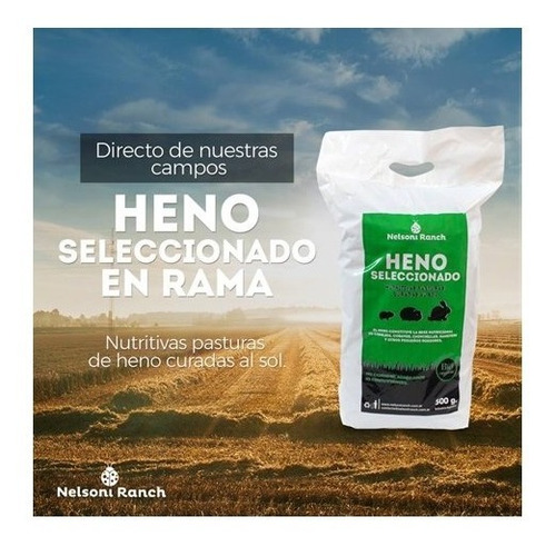 Imagen 9 de 10 de Alfalfa / Heno En Rama 500g Para Cobayo Conejo Nelsoni Ranch