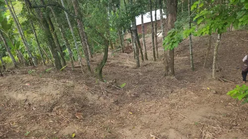 Terreno Em Ilhabela