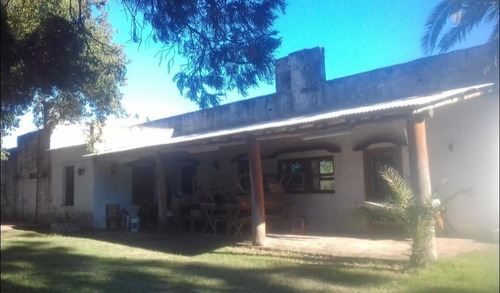 Imagen 11 de 13 de Venta 8,5 Has - San Jose - E.r.