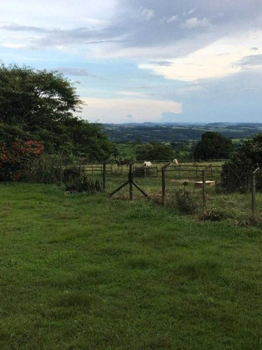 Ótimo Haras Com 41 Hectares Com 23 Baias 3.000,000,00 - 39282