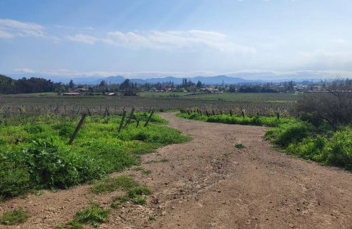 M64218 - Venta Terreno Viñas De Buin Sin Comision - 10 Ha