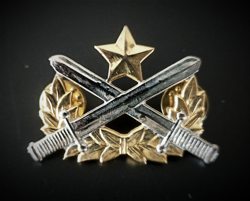 Antigua Insignia Guerra Rangers Vietnam Del Sur, Oferta!!!