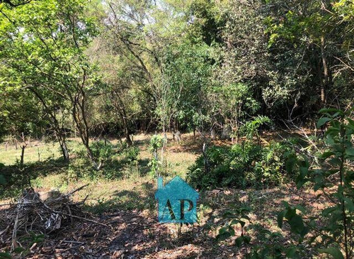 Imagem 16 de 29 de Chácara Em Canedos, Piracaia/sp De 48400m² 3 Quartos À Venda Por R$ 650.000,00 - Ch1112176-s