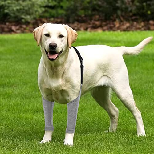 Traje De Recuperación Para Perros Para Patas Delanteras, Ma