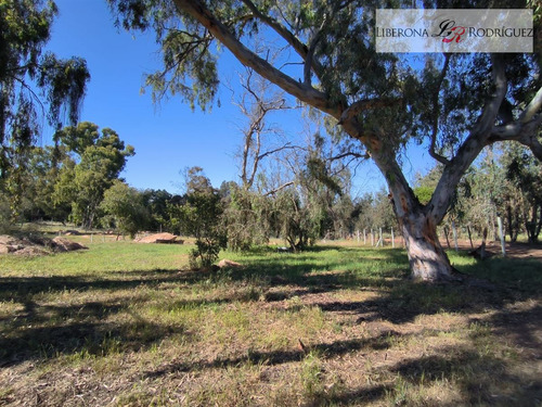 Parcela En Venta En Quintero