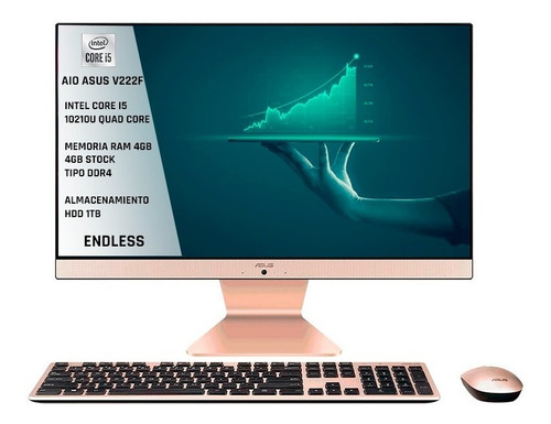 Imagen 1 de 5 de Aio Todo En Uno Asus Core I5 10210u 4gb 1tb 21,5 Fhd