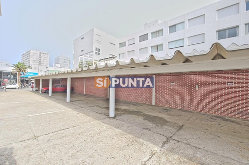 Imagen 11 de 11 de Apartamento En Venta - Península