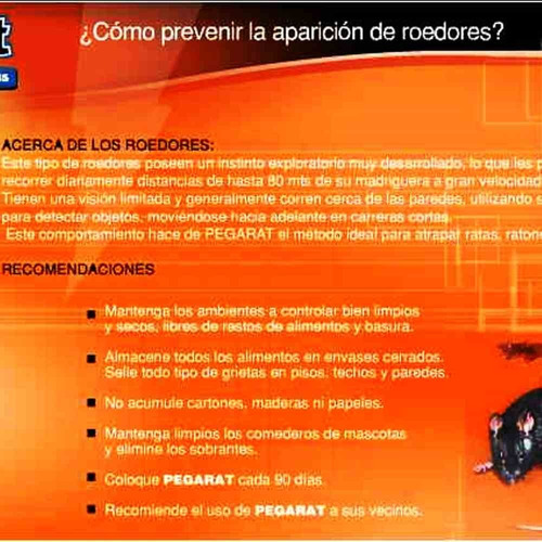 Imagen 7 de 10 de 2 Trampa Adhesiva Pegamento Mata Laucha Sin Veneno Pega Rat