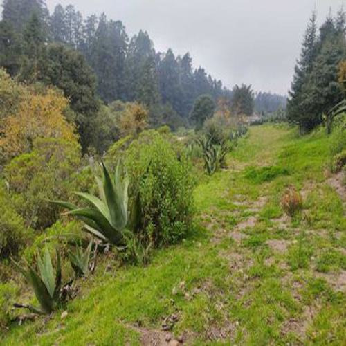 Excelente Terreno En Sta. Rosalia , Mineral Del Monte