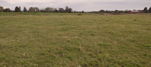 Imagen 2 de 11 de Predio Agrícola 1,5 Ha En Quema Del Buey A 38 Km De Osorno