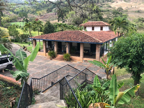 Imagen 18 de 18 de Casa De Campo En San Casimiro De Guiripa Riv Jg