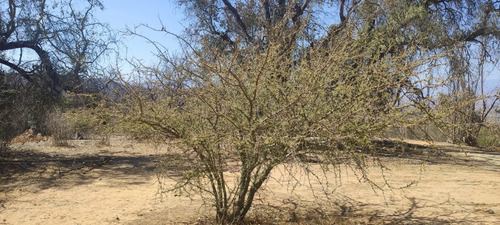 Sitio En Venta En Proyecto Toporcuri