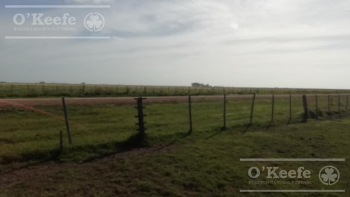 Imagen 8 de 21 de Dolores, 100 Has En Venta. Campo Ganadero Para Armar.