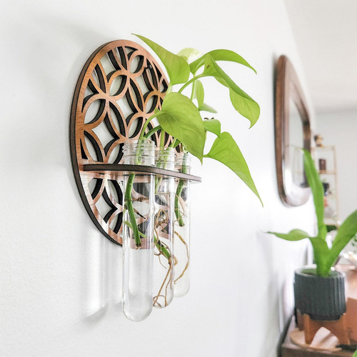 Terrarios Para Maceteros De Pared Estación De Propagación