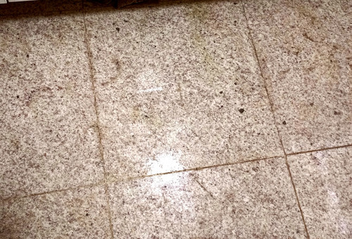 Apartamento Amplo Com Terraço Ensolarado