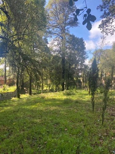 Imagen 10 de 15 de Terreno Bardado A Orilla De Carretera En Huitzilac, Morelos.