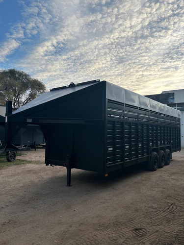 Trailer Semirremolque 14 Caballos Homologado Patentable Lcm