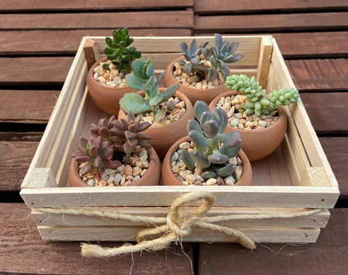 Imagen 4 de 4 de 25 Macetas Mini De Barro Suculentas Cactus Decoracion