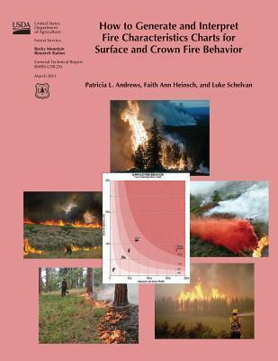 Libro How To Generate And Interpret Fire Characteristics ...