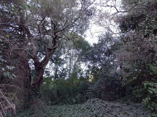 Imagen 8 de 12 de Lote De 20x40, Punta Indio