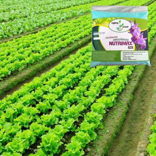 Adubo Fertilizante Nutrimax Npk 10 48 10 2kg