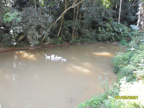 Imagem 1 de 14 de Excelente Chácara Com Piscina E Lagos Cod: 4448