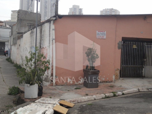 Imagem 2 de 12 de Terreno Com Casas Velhas, Excelente Para Construtores - Ss14569