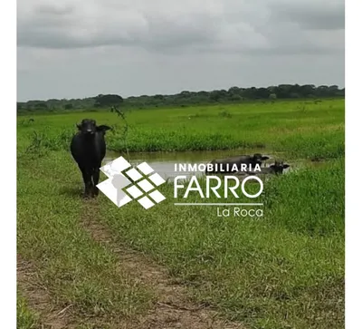 Hacienda-Finca en venta