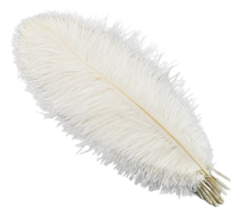 Plumas De Avestruz Blancas 