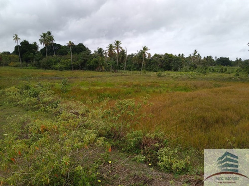 Granja A Venda Em Tibau Do Sul