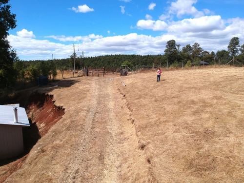 Parcela 5000 Mt2 Chancoyan Bajo, 2 Casas $ 155.000.000.-.