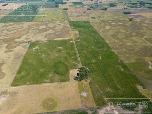 Campo En Venta Mixto De 246 Has En Saladillo