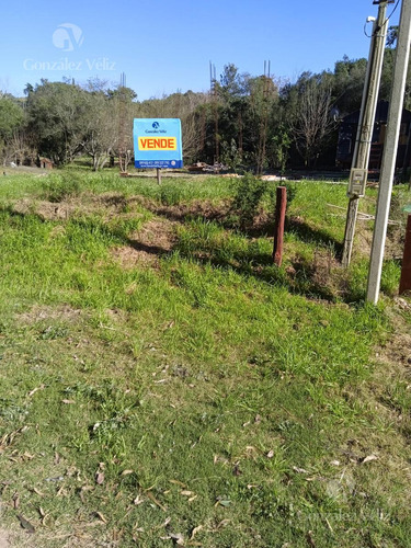 Terreno En  Punta Gorda A 150m De La Laguna Solis