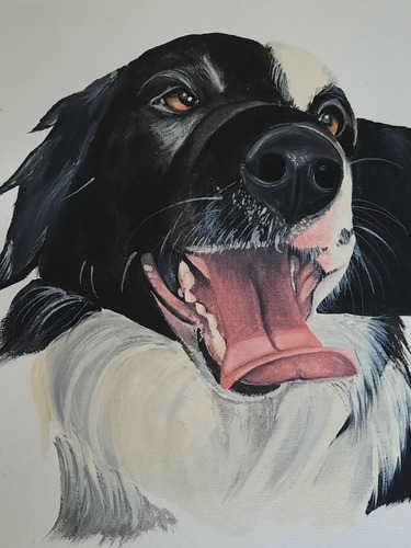 Cuadro Pintado A Mano Con El Retrato De Tu Mascota 40x50 Cm