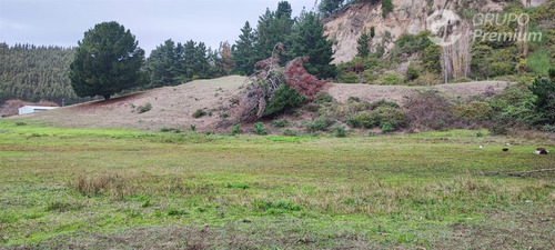Sitios En Venta En Arauco, Sector Las Peñas
