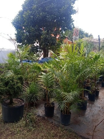 Imagem 16 de 23 de Venda - Chácara Caputera / Sorocaba/ - 7166