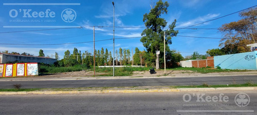 Venta - Lote En Plátanos - Berazategui - 841m2- Frente Sobre Av. Mitre - Ubicacion Estrategica