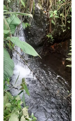 Se Vende Finca Vda La Julia Montenegro Quindío