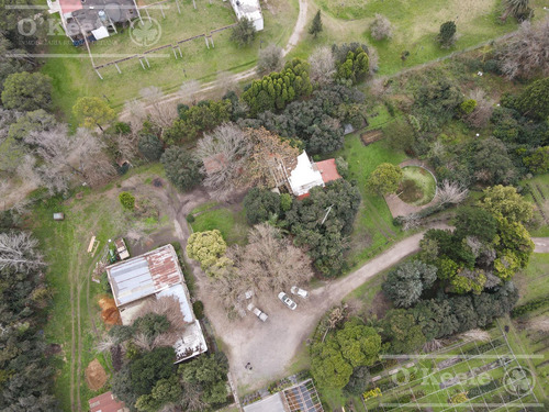 Chacra En Venta 8,5 Has Brandsen Sobre Ruta 2 - Ideal Proyecto Inmobiliario